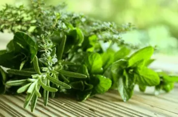 Hierbas aromáticas: el secreto de la cocina mediterránea