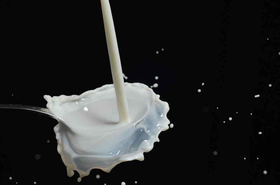 Chorro de leche sobre fondo blanco