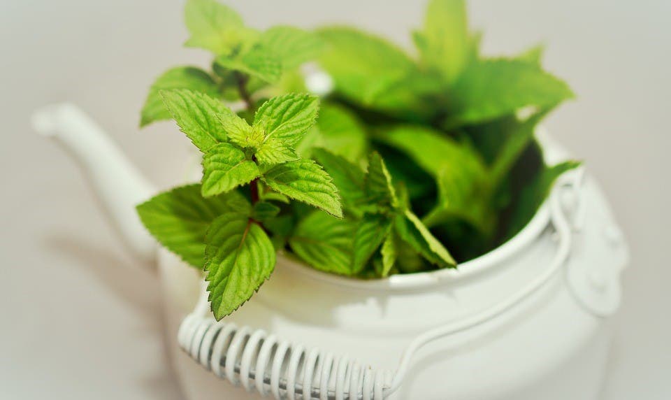 6 Productos naturales que quitan las ganas de vomitar