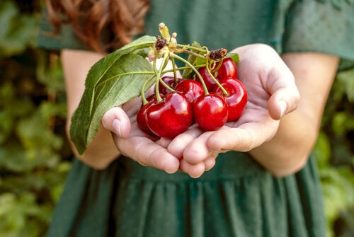 5 alimentos recomendados para prevenir la osteoartritis