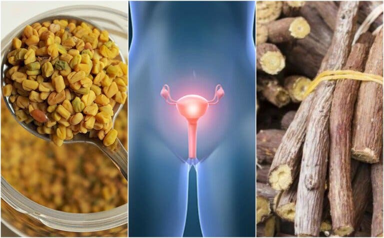 5 remedios naturales que te ayudan a sobrellevar el síndrome de ovario poliquístico