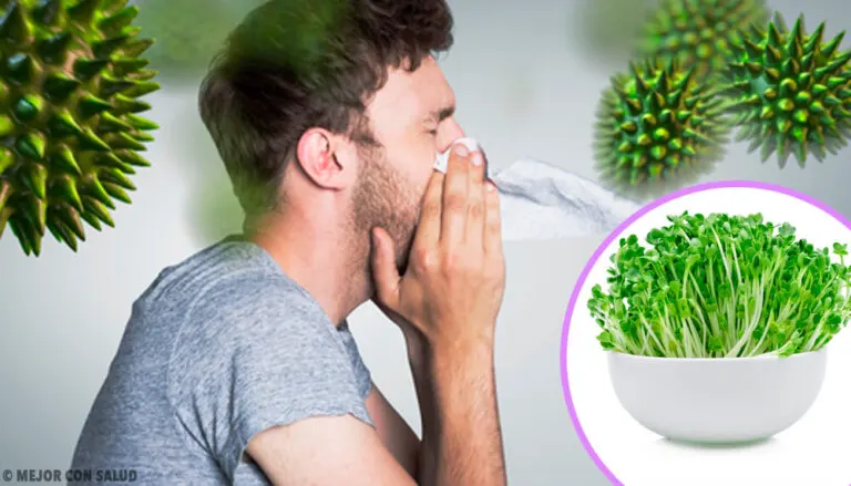 6 beneficios que obtienes al incluir alfalfa en tu dieta