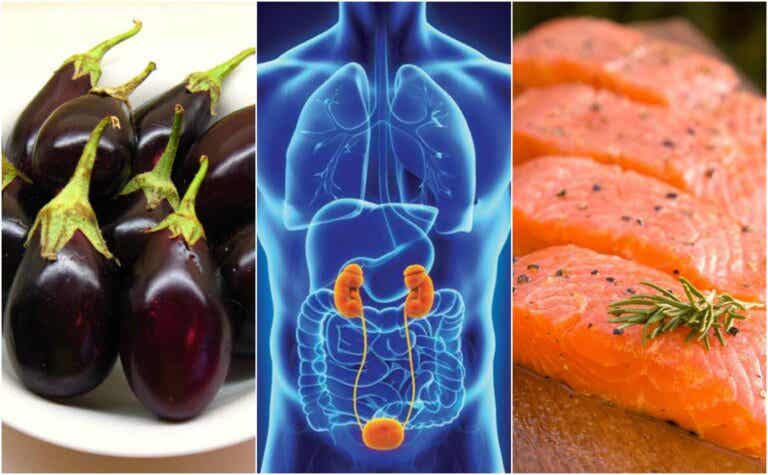 7 alimentos que te ayudan a mantener los riñones saludables