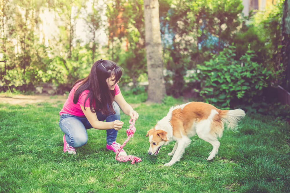 Beneficios de pasear al perro para el dueño