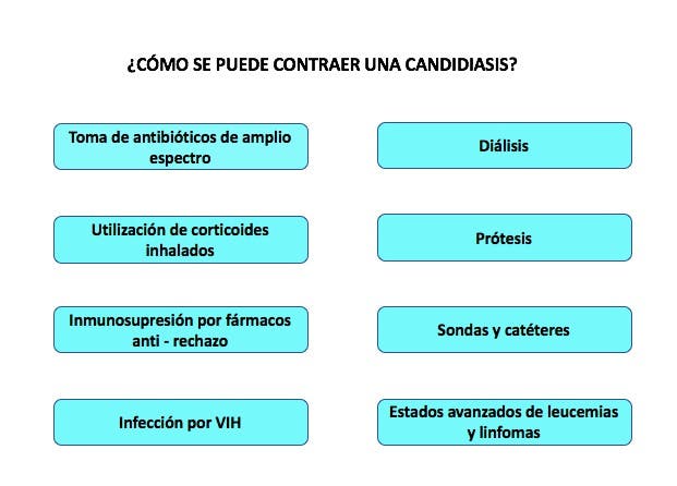 Cómo se contrae la candidiasis