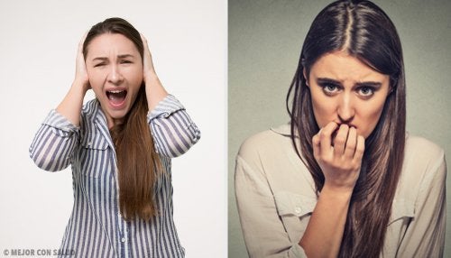 Consecuencias de la contaminación acústica