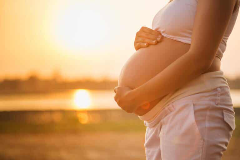 ¿Cuáles son los diferentes tipos de embarazo?