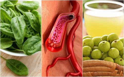 Los mejores alimentos para aumentar las plaquetas