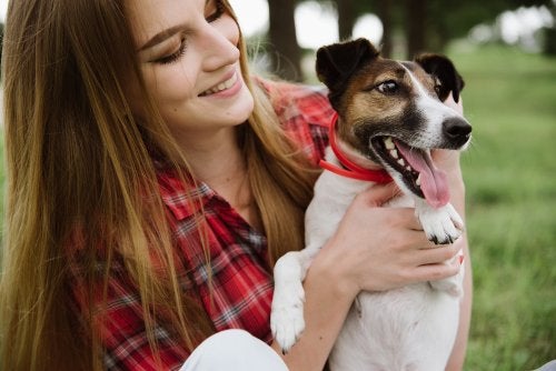 Los sorprendentes beneficios de pasear al perro cada día