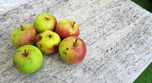 Observa los propios alimentos en sí