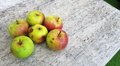 Observa los propios alimentos en sí