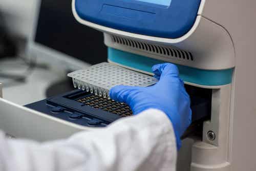 Científico practicando PCR a un paciente susceptible de tener hepatitis C