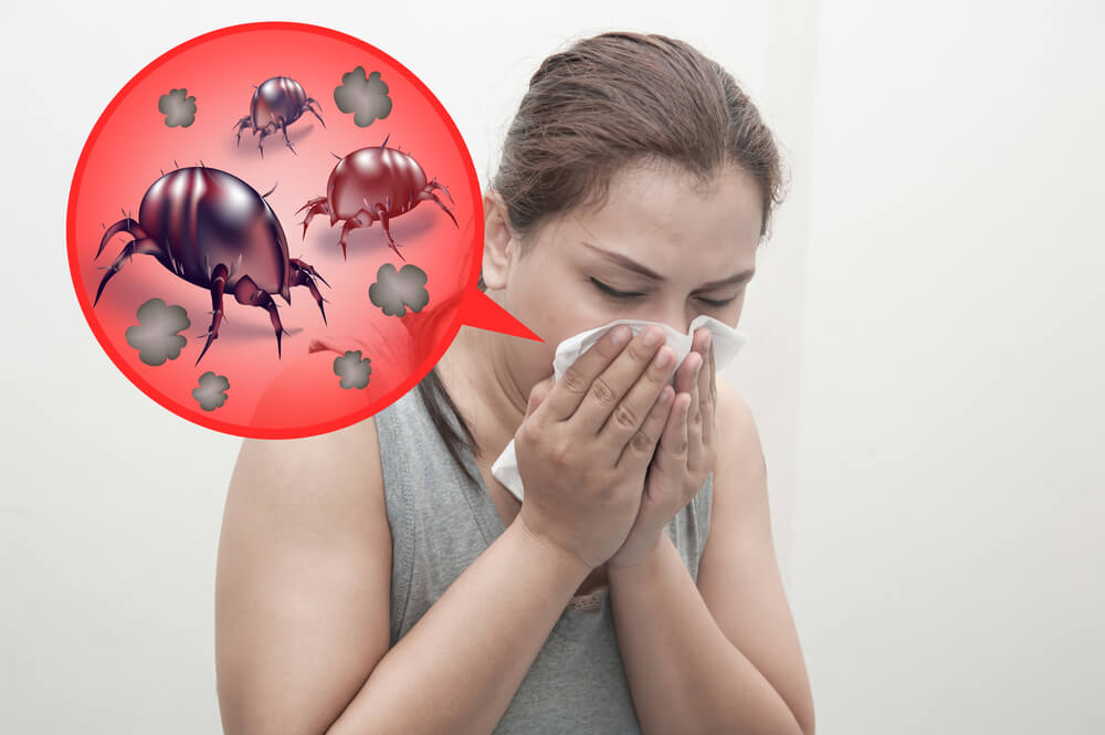 Los ácaros causan asma y alergia: ¡Descubre cómo protegerte!