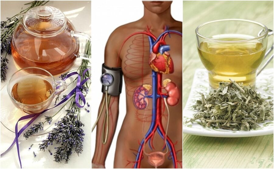 Reduce la presión arterial alta con estos 5 remedios herbales - Mejor con  Salud