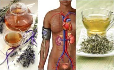 Reduce la presión arterial alta con estos 5 remedios herbales
