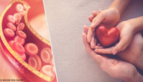 Todo lo que deberías saber sobre el colesterol