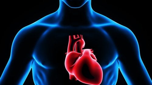 El ritmo del corazón puede verse alterado por un exceso de trabajo