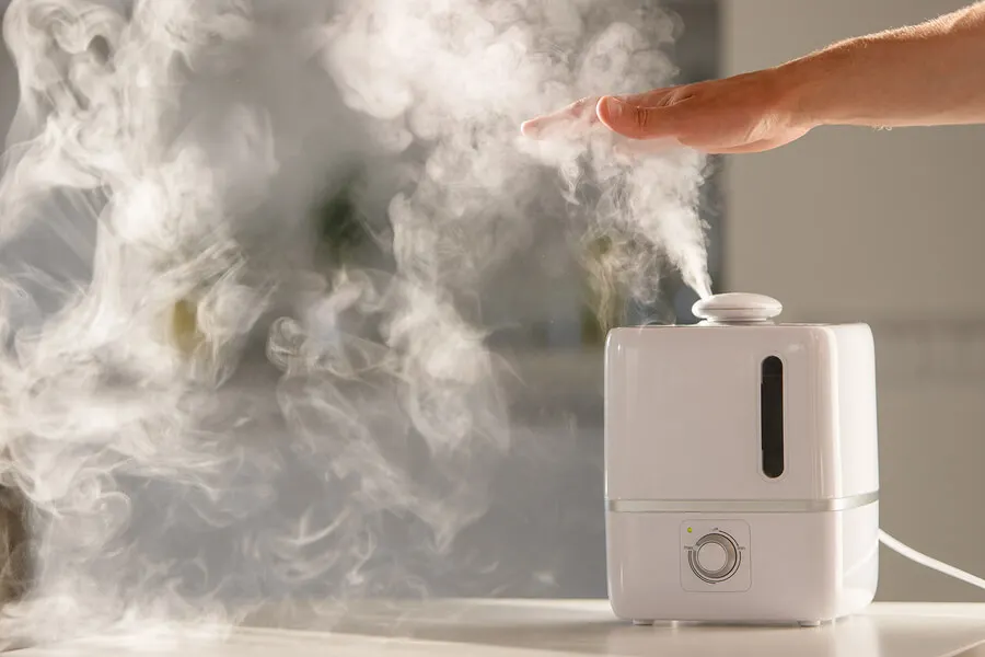 Humidificador de vapor.
