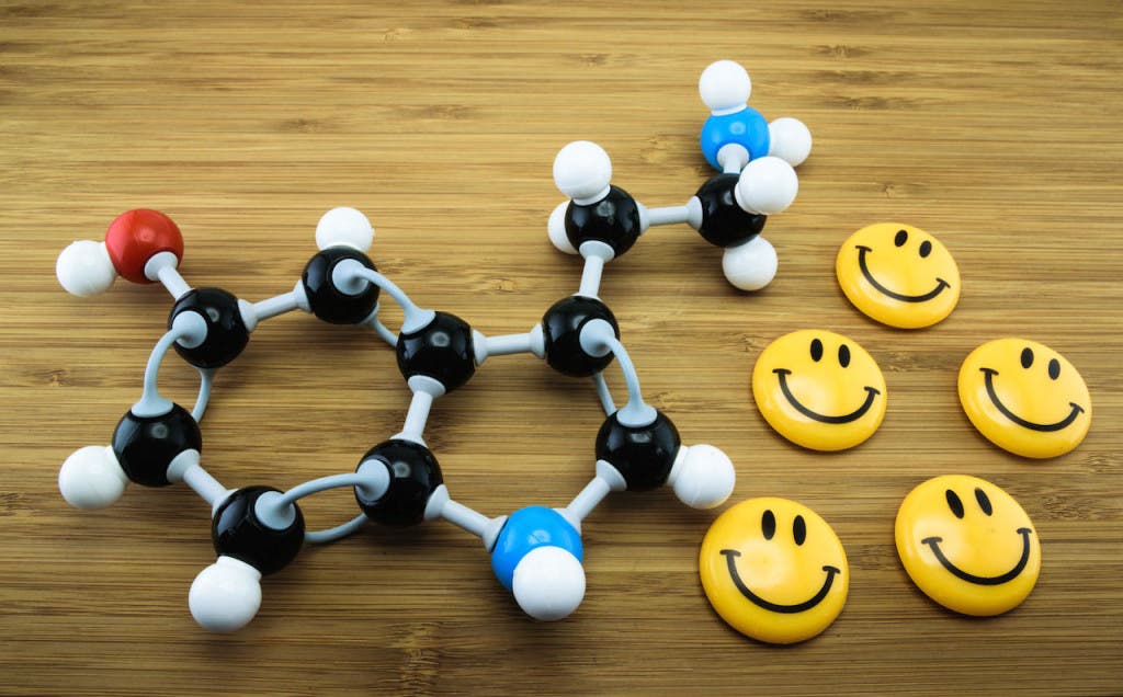 serotonina