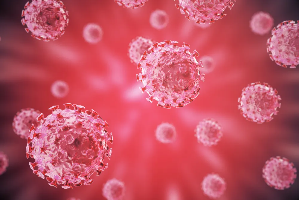 Virus del papiloma humano