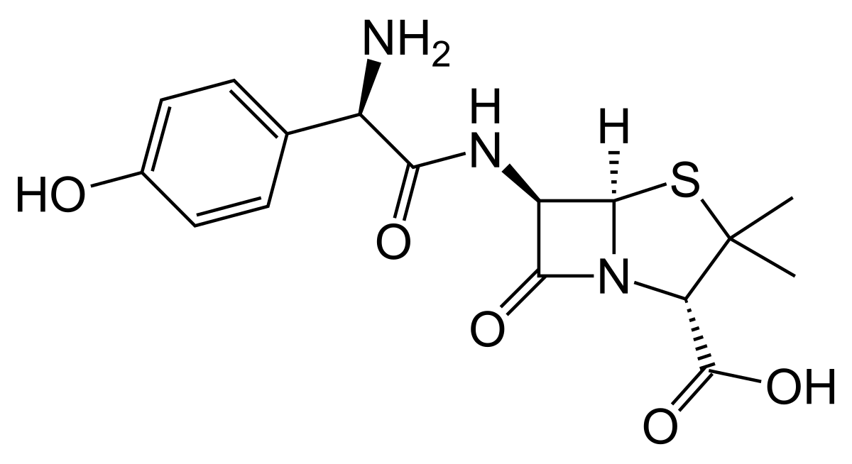 amoxicilina