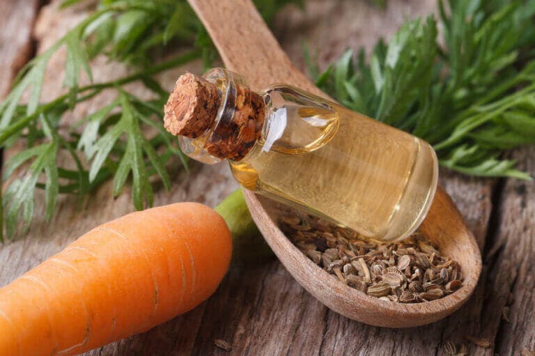 3 mascarillas con zanahoria que harán crecer tu cabello fuerte y sano