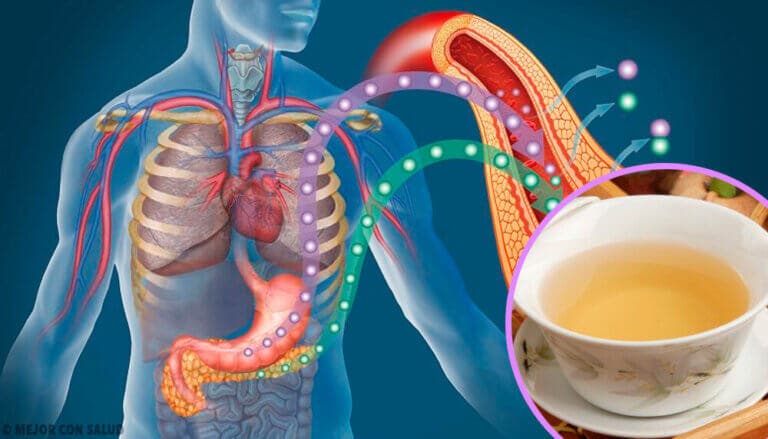 4 infusiones para bajar el azúcar en la sangre