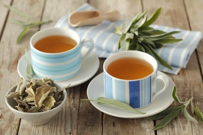 7 propiedades curativas de la salvia