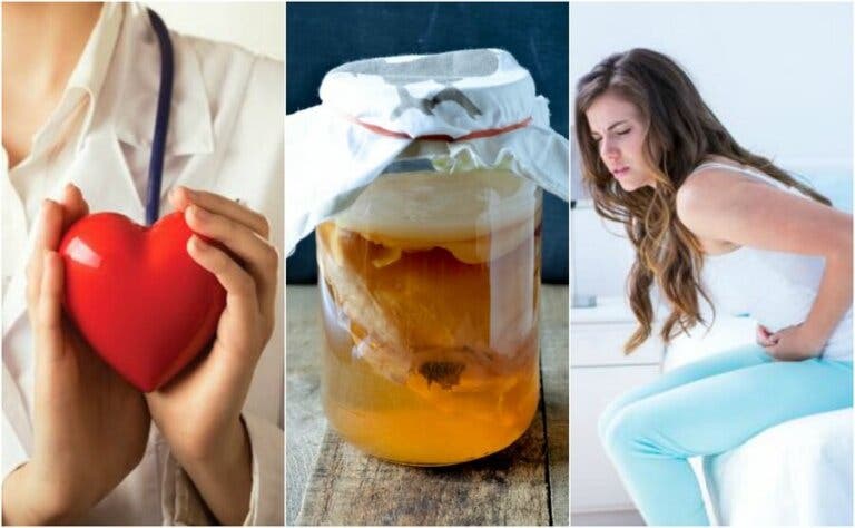 6 propiedades curativas del té de kombucha que no te puedes perder