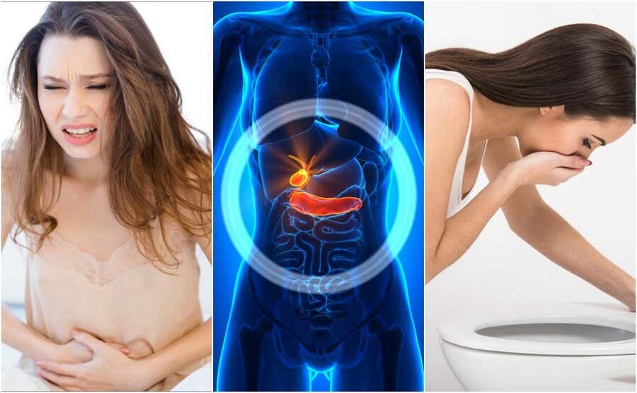 6 señales que te alertan problemas en la vesícula biliar