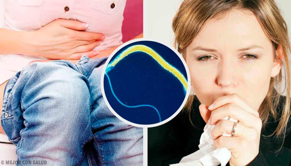 6 síntomas de las lombrices intestinales