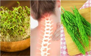 7 plantas medicinales que te ayudan a cuidar la salud ósea
