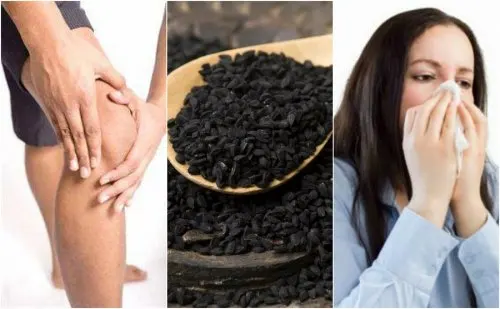8 propiedades de las semillas de comino negro