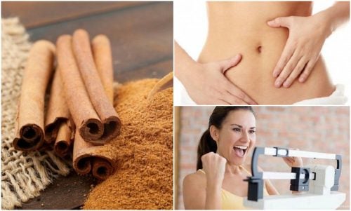 8 razones por las que te conviene añadir canela en tu dieta