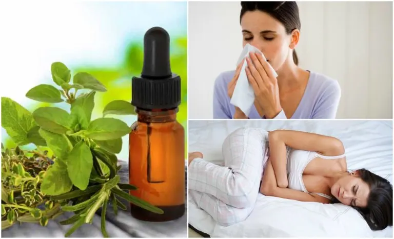 8 usos medicinales que le puedes dar al aceite de orégano