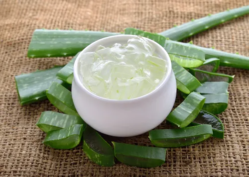 Aloe vera para tratar caroços atrás da orelha.