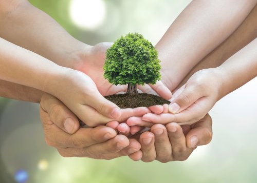 Deducir Desmantelar Interactuar 10 tips para cuidar el medio ambiente en tu hogar - Mejor con Salud