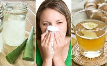 Cómo calmar la rinitis alérgica con 5 remedios de origen natural