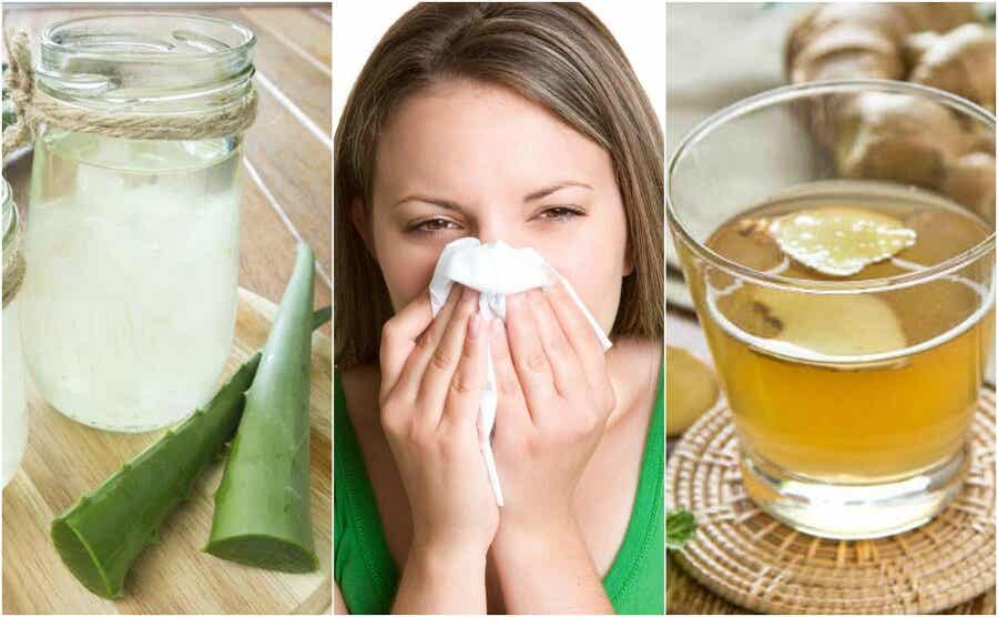 Cómo calmar la rinitis alérgica con 5 remedios de origen natural