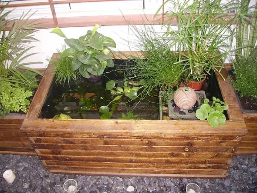Estanque en casa