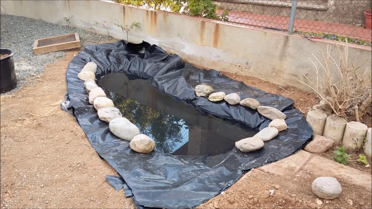 Estanque en el jardin