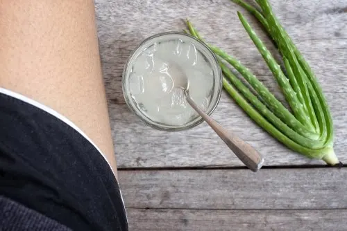 Gel de aloe vera para curar rasguños