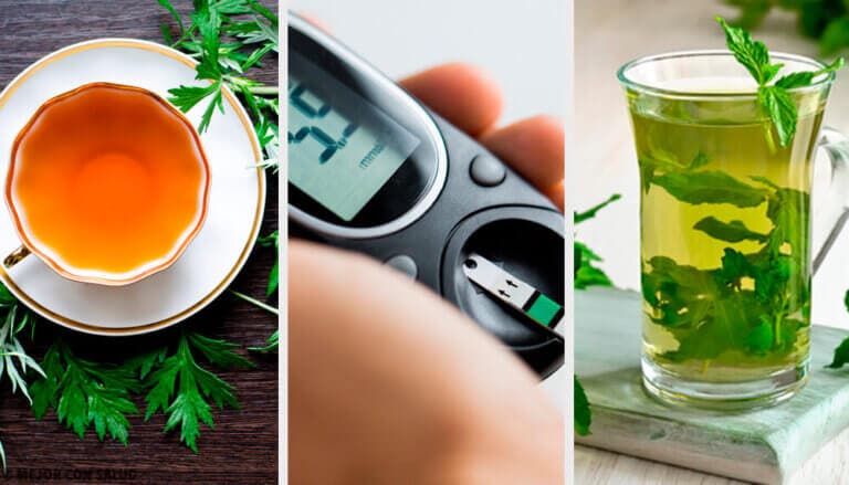 Infusión de ajenjo, menta y estevia para regular el azúcar