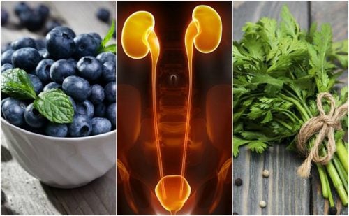 Los 7 alimentos que debes ingerir para proteger los riñones y la vejiga