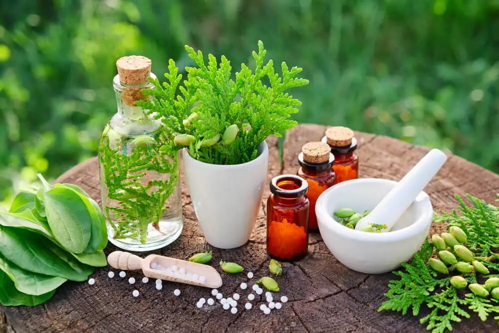 Plantago como alimentos que te ayudarán a ir al baño