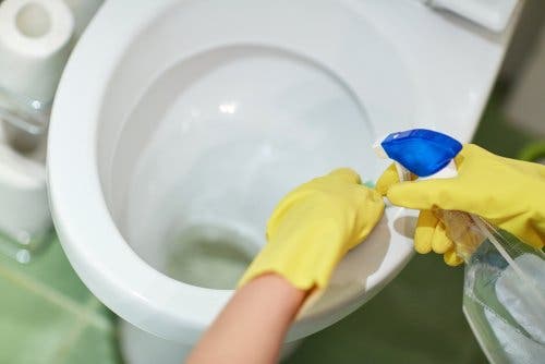 Por dónde empezar a desinfectar el baño