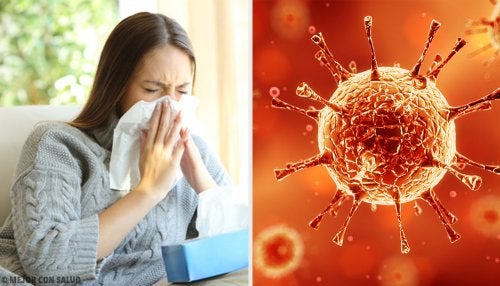 ¿Por qué los virus son cada vez más fuertes?
