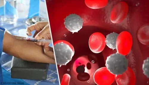 Sangre con glóbulos rojos y blancos