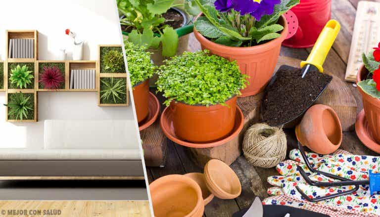 Revitaliza tu hogar con estas 10 ideas para decorar con plantas