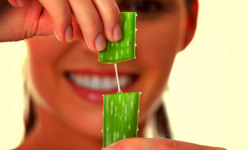 Aloe vera para el cabello.